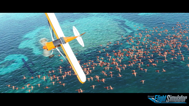 MS-Flight (4)